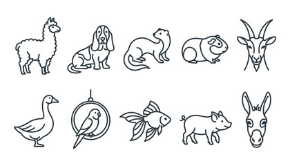 Naklejka premium Domestic animals and pets outline icon set featuring alpaca, dog, ferret, guinea pig, goat, goose, parrot, goldfish, pig, and donkey web linear symbols.