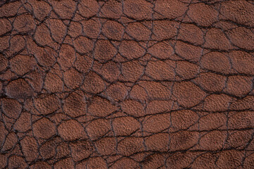 Naklejka premium Brown leather texture close up, small reptile surface pattern with matte material background
