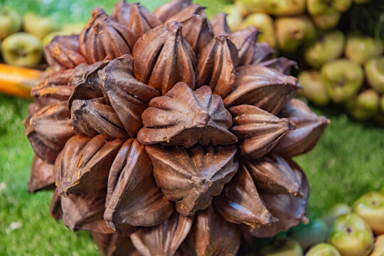 THAILAND KHON KAEN MARKER NIPA PALM FRUIT