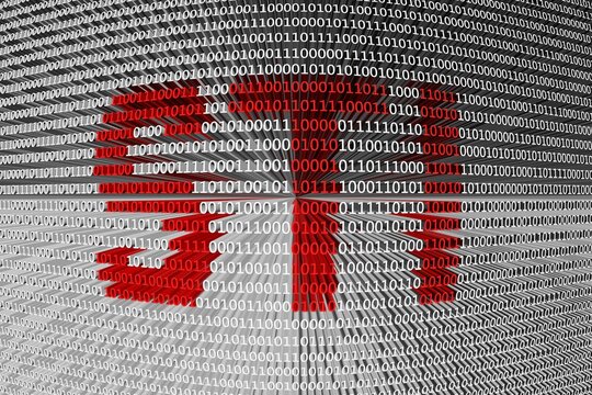 STI binary code 3d illustration