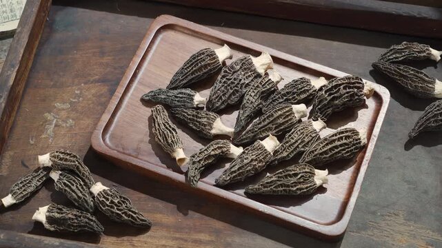 Fresh Morel Mushrooms on Wooden Tray Moody Still Life