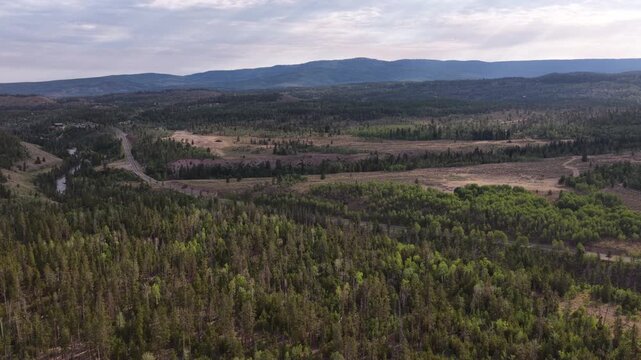 Wide aerial of forested valley and Bear River in Uinta Mountains Utah in summer with sunny skies