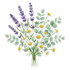 Fototapeta premium Watercolor bouquet of lavender, eucalyptus leaves, and chamomile flowers on transparent background.