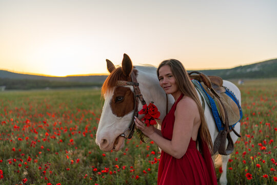 Equine companion and young woman portrait captured in a blooming poppy meadow during golden hour