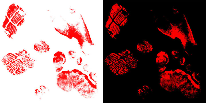 Bloody footprints texture set, red blood shoe prints on white and black backgrounds, horror crime scene design elements
