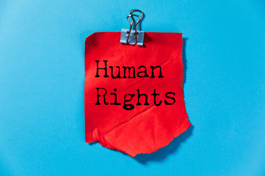 text human rights in the paper