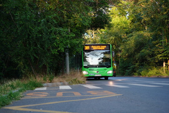 Bucharest, Romania &ndash; June 21, 2026: Bus of public transportation company coming towards station in Baneasa forest on the border of Bucharest city