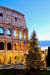 Obraz premium Christmas Tree And Colosseum Rome At Dusk