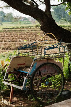Old traditional rickshaw parked under tree near rural agricultural field