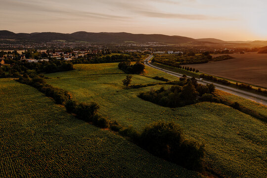 Aerial view of a vast sunflower field and rural highway at sunset near Saalfeld