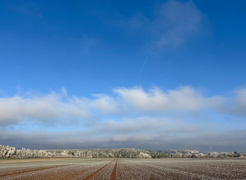 Blick auf Winterlandschaft in Deutschland bei Frost und Raureif mit Wald am Horizont