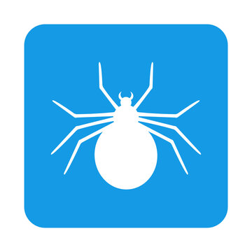 S&iacute;mbolo para Halloween. Icono con dibujo sencillo con la silueta de una ara&ntilde;a viuda negra en un cuadrado de color azul. Archivo PNG con transparencia