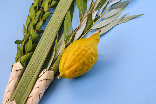 Sukkot four species lulav etrog hadas aravah