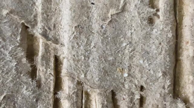 Macro texture of torn corrugated cardboard paper box with fibrous edges