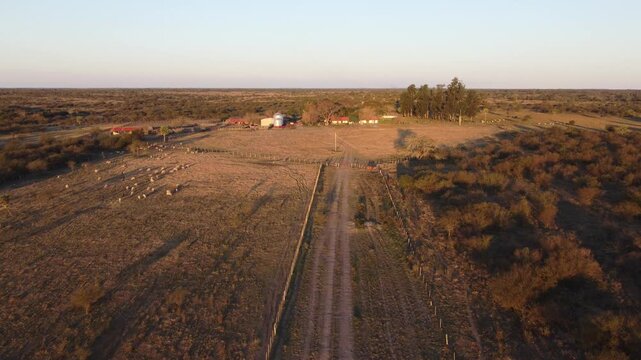 Aerial view of an Argentine cattle ranch in sunset