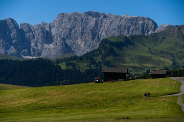 Obraz premium Alpe di Siusi at sunny morning sunrise, Dolomites mountains, Italy