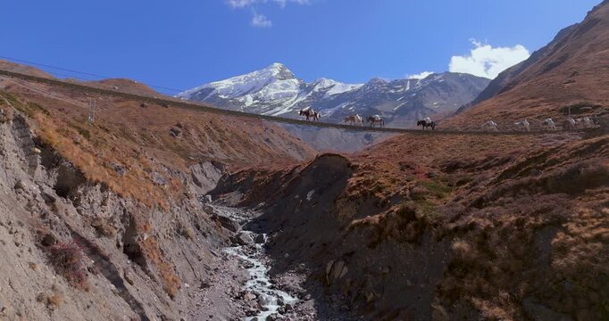Drone view of a pack mule caravan carrying supply goods across a suspension bridge over a gorge along the Annapurna Circuit, Manang region, Nepal, route to Thorong La Pass