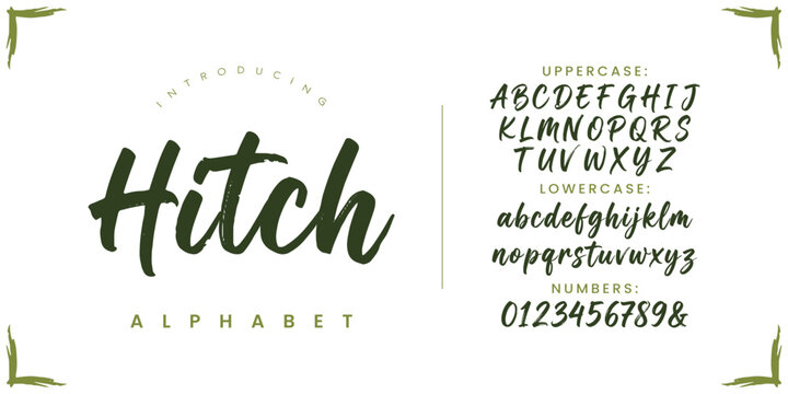Hitch Artistic Hand Painted Brush Font Style Modern Decorative Display Typeface For Branding