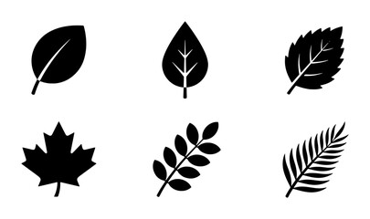 Fototapeta premium Vector Leaf Icons Set, Botanical Plant Silhouettes, Nature Elements Collection, Organic Shapes for Design