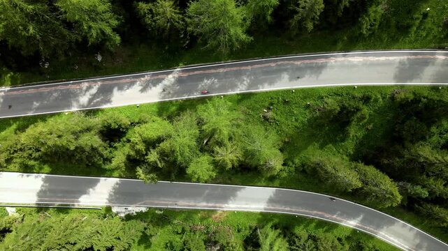 Aerial view of the winding mountain road at Passo Falzarego surrounded by dense pine forests in Cortina d'Ampezzo, Veneto, Italy.