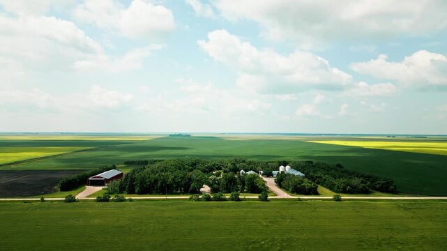 Static front-facing drone shot of a small prairie farm surrounded by wheat and canola fields beneath a blue summer sky with drifting clouds