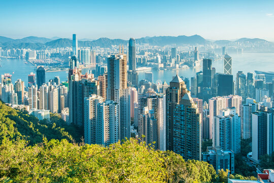 Panoramic aerial skyline of Hong Kong city, China, with skyscrapers and high-rise buildings, Victoria Harbour and mountains. Asian megacity landscape, urban density, real estate, economic development