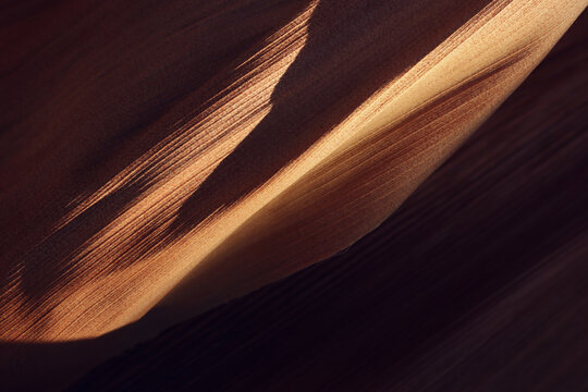 Abstract image of nature pattern. dry palm leaves closeup. Light shadow and texture