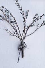 Willow branches with jewelry and soft catkins © Samantha