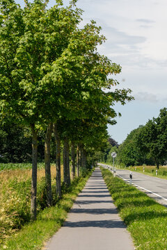 Bike path along country road in Nordfriesland, Schleswig-Holstein