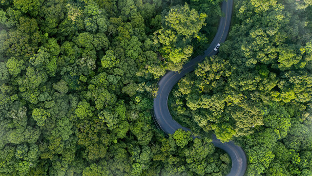 Top-down aerial view of a green forest with an EV car, net-zero emissions concept, eco-friendly tourism, future logistics, ESG goals, and sustainable transportation.