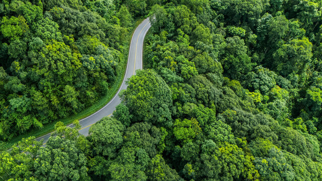 Top-down aerial view of a road through a lush green forest, eco-friendly nature concept, ESG path to sustainability, and green business concept.