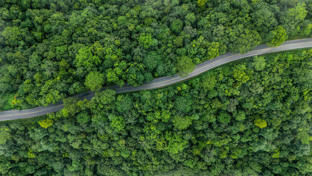 Top-down aerial view of a road through a lush green forest, eco-friendly nature concept, ESG path to sustainability, and green business concept.