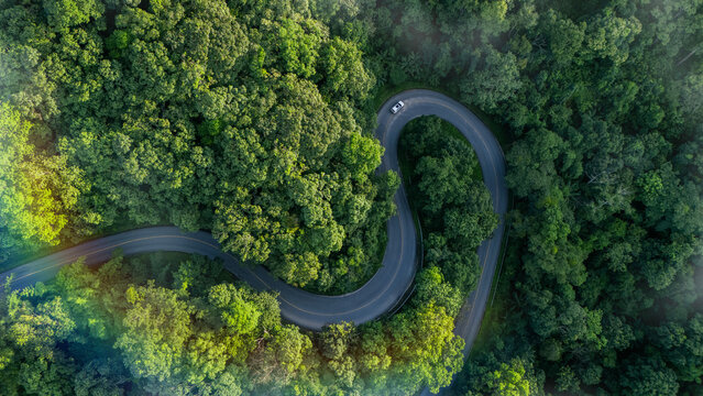 Top-down aerial view of a green forest with an EV car, net-zero emissions concept, eco-friendly tourism, future logistics, ESG goals, and sustainable transportation.