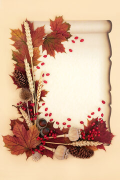 Autumn Nature red berry and leaf Fall symbols on old faded scroll background. Seasonal warm hues for Samhain and Harvest Festivals.