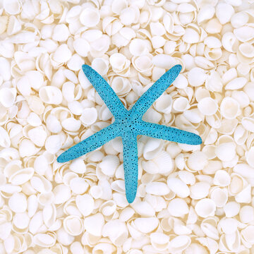 Starfish, white cockleshell abstract background. Decorative art seashell design symbol of the coast, beach, seaside. Greeting card.
