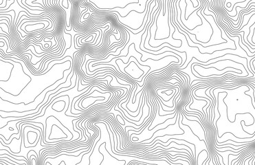 Topographic map pattern. Isolated contour line terrain. Vector vintage outdoors landscape © sani