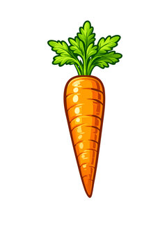 carrots and carrot
