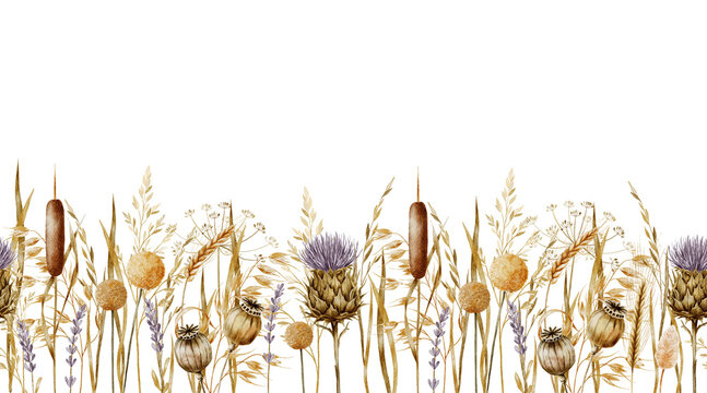Hand-painted watercolor border with dried wildflowers, wheat, cattails, thistle, and poppy pods. Earthy boho design on a white background, perfect for packaging, cards, and seasonal banners.