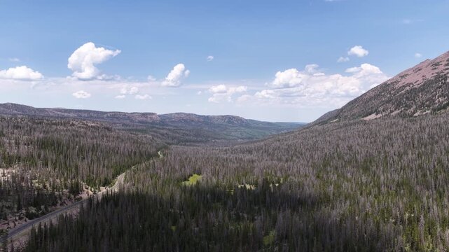 Aerial of Wasatch national Forest along highway 150 in uinta mountains in summer in Utah with blue sky