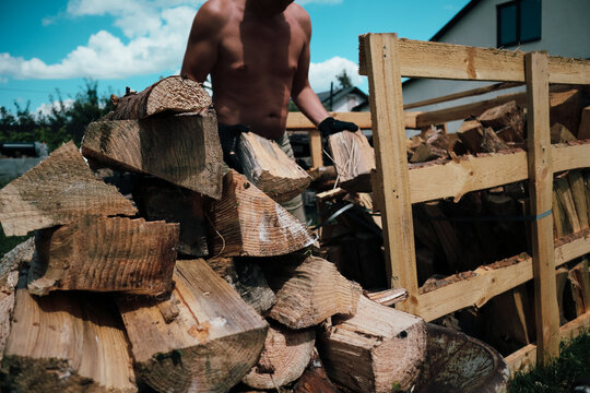Man stacking chopped firewood into wooden crate outdoors in backyard
