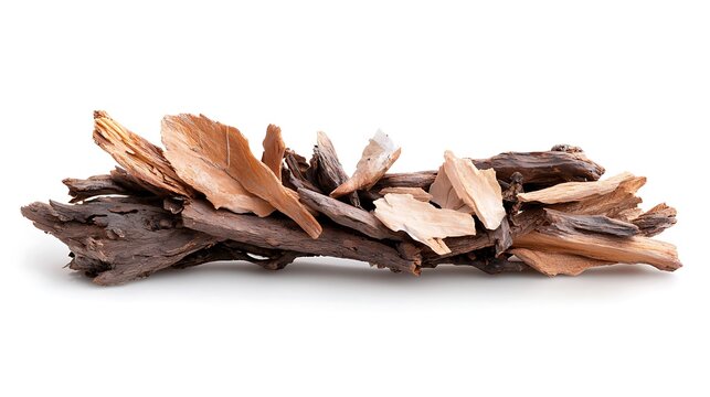 A pile of dried medicinal tree bark and wood chips isolated on white.