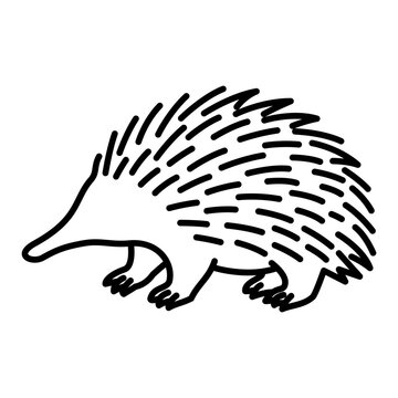 echidna line icon with editable stroke