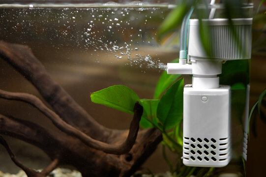 Aquarium air compressor with tubing and an air stone for water aeration. Aquarium equipment for oxygenating water, maintaining water quality and caring for freshwater fish.
