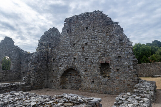 Ruins of St Dogmaels Abbey