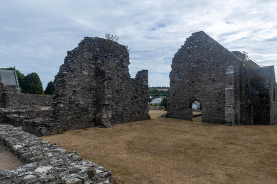 Ruins of St Dogmaels Abbey
