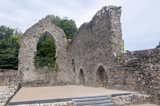 Ruins of St Dogmaels Abbey