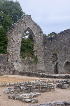 Ruins of St Dogmaels Abbey