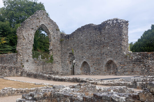 Ruins of St Dogmaels Abbey