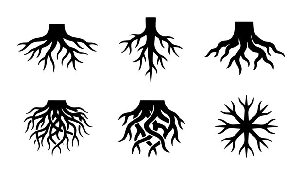 Diverse Tree Root Systems, Organic Growth Icons, Natural Foundation Vector Set, Plant Biology Graphics