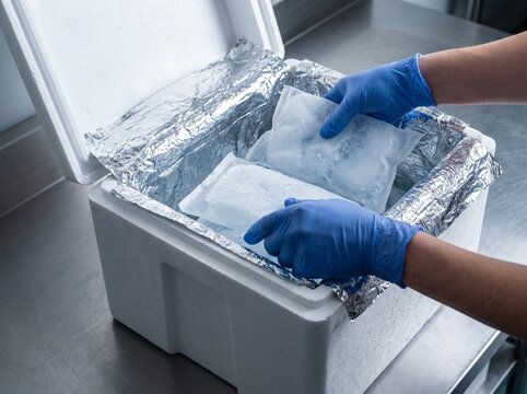 Hands in blue gloves placing gel ice packs into a thermal insulated styrofoam container for cold chain logistics and temperature sensitive shipping